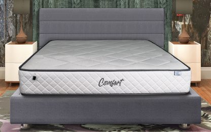 Dusek Comfort