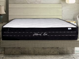 Dusek Hibrid Lux